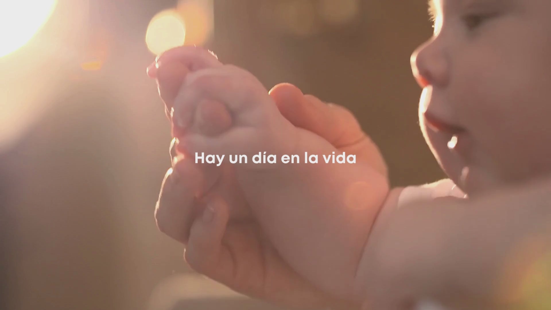 Cargar video: 
